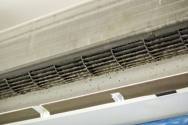 Best Air Vent Cleaning Services  in Stigler, OK